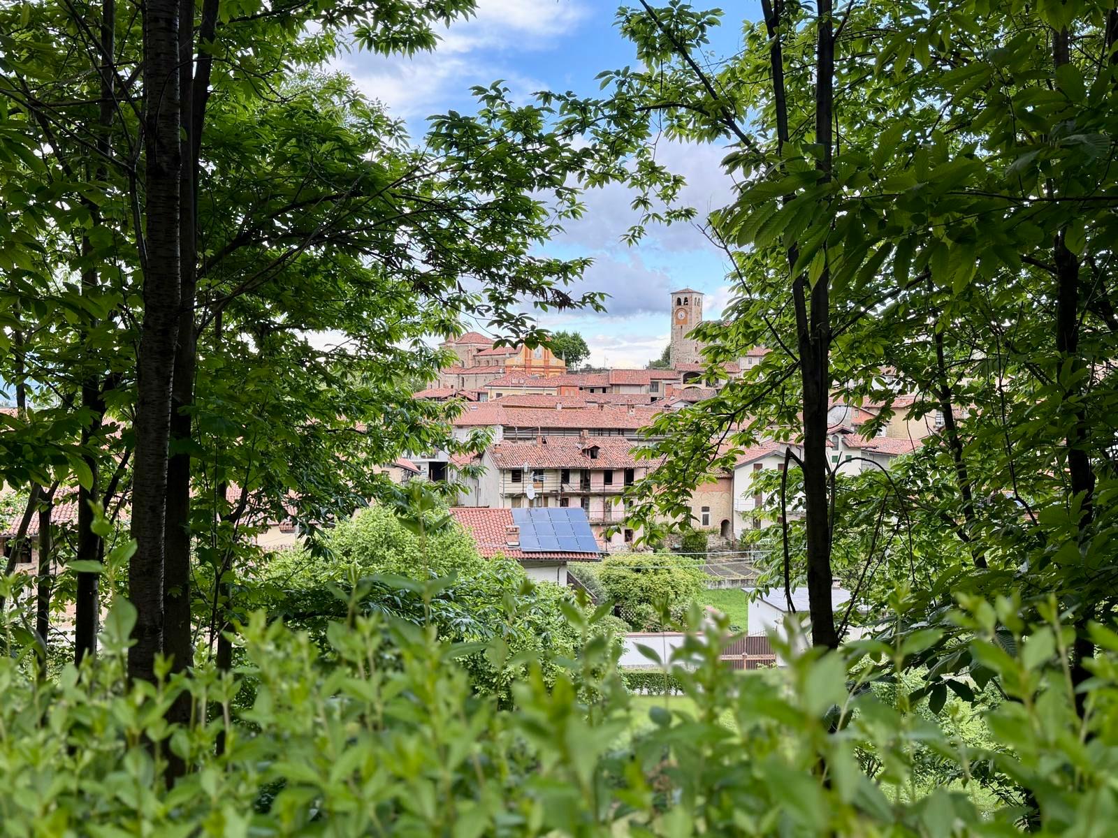 Toits de maisons et cheminées vus à travers des arbres verdoyants